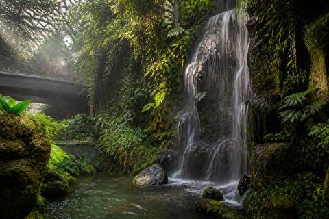 attraction-waterfall